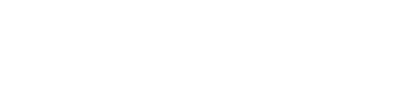 Dubai Border Security Council